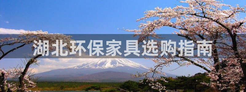 杏耀总代理