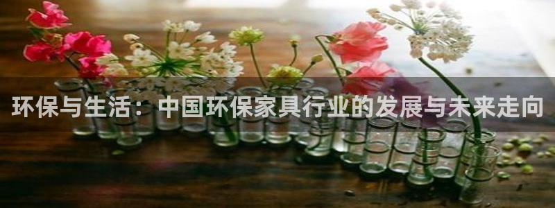 杏耀测速网址电脑版：环保与生活：中国环保家具行业的发展与未来