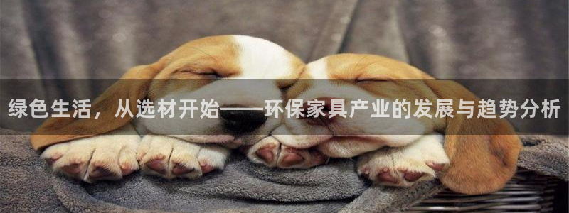 杏耀如何注册：绿色生活，从选材开始——环保家具产业的发展与趋
