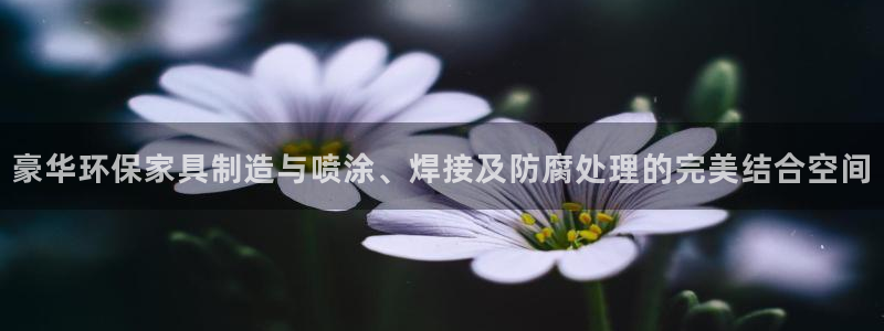 杏耀官网主管