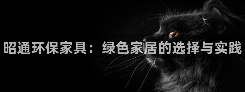 杏耀注册平台官网：昭通环保家具：绿色家居的选择与实践