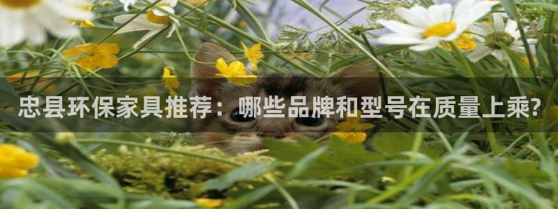杏耀3注册：忠县环保家具推荐：哪些品牌和型号在质量上乘?