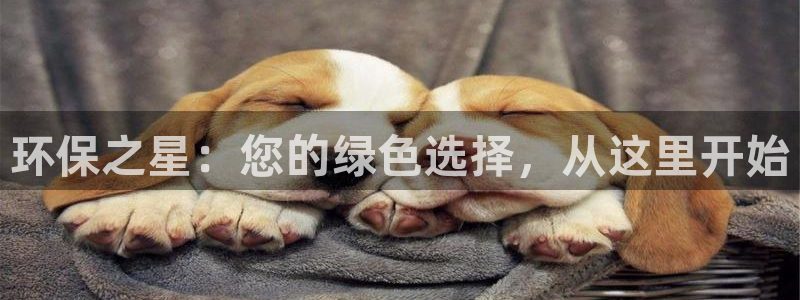 杏耀平台黑款