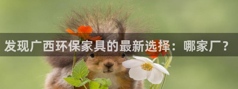 杏耀平台还在吗：发现广西环保家具的最新选择：哪家厂？
