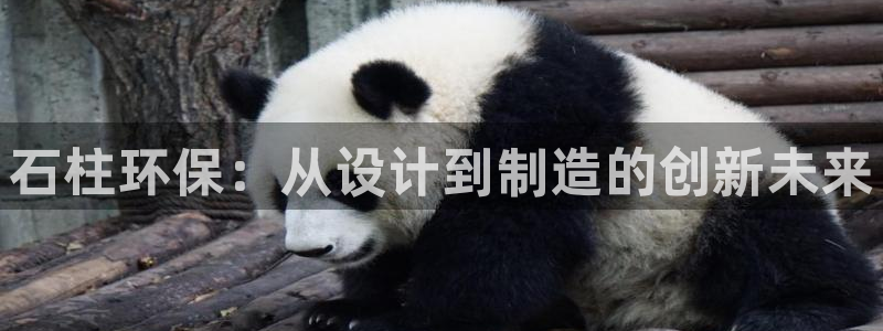 杏耀手机登录线路测速：石柱环保：从设计到制造的创新未来