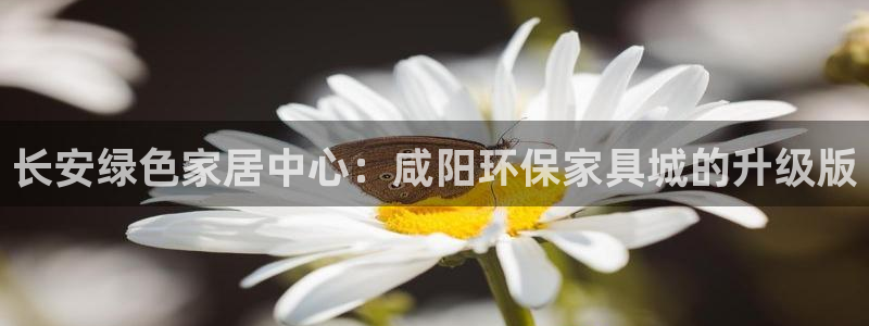 杏耀平台网页版：长安绿色家居中心：咸阳环保家具城的升级版