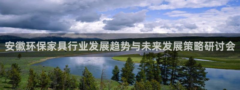 杏耀平台待遇：安徽环保家具行业发展趋势与未来发展策略研讨会