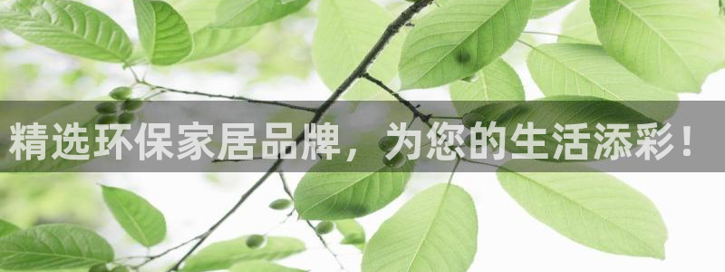 杏耀平台网页版：精选环保家居品牌，为您的生活添彩！