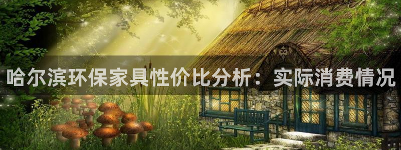 杏耀代理注册开户：哈尔滨环保家具性价比分析：实际消费情况
