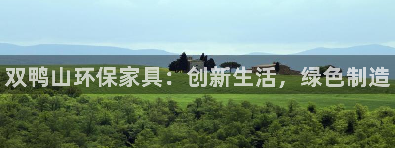 杏耀测速网址电脑版：双鸭山环保家具：创新生活，绿色制造