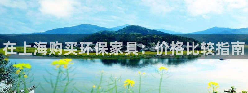 杏耀平台登录首页：在上海购买环保家具：价格比较指南