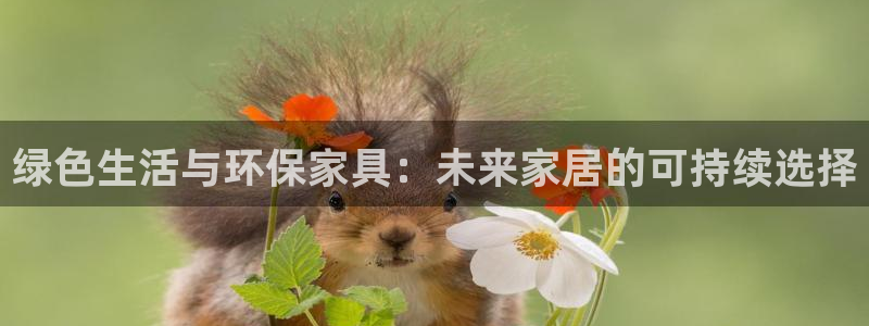 杏耀登录网页：绿色生活与环保家具：未来家居的可持续选择